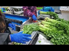 Maszyna do pakowania ciastek z poduszkami