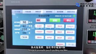 Szybka maszyna pakująca w woreczki z płynem WG250