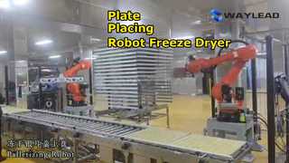 Automatyczna maszyna pakująca z robotem do układania płyt i zamrażarką