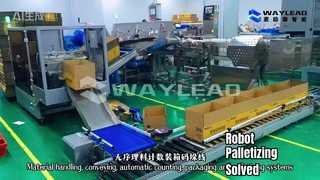 Systemy transportu, transportu, automatycznego liczenia, pakowania i paletyzacji