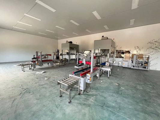 Funkcja formowania Automatyczna linia opakowaniowa 35-150 worek/min Dla kartonu 250-350 g/m2