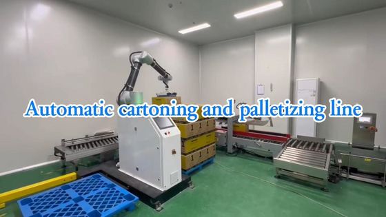 WG300 Rozwiązanie automatycznej linii pakowania żywności SUS304