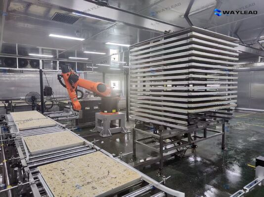 Wysokowydajny automatyczny robot do układania płyt dostosowany do linii produkcyjnych liofilizatorów